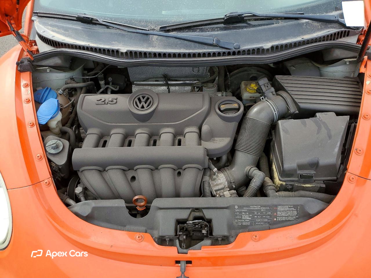 Volkswagen Beetle 2010