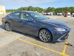 Lexus ES 2019