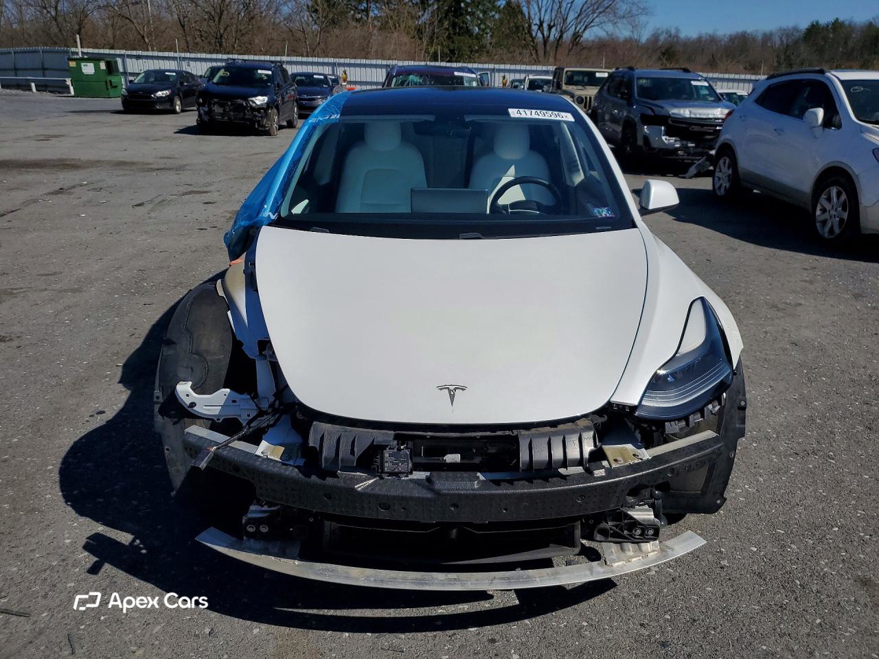 Tesla Model 3 2021