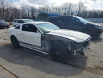 Ford Mustang 2013