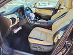 Lexus NX 2015
