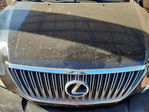 Lexus RX 2004