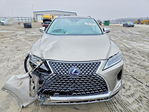 Lexus RX 2022