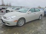 Lexus ES 2002