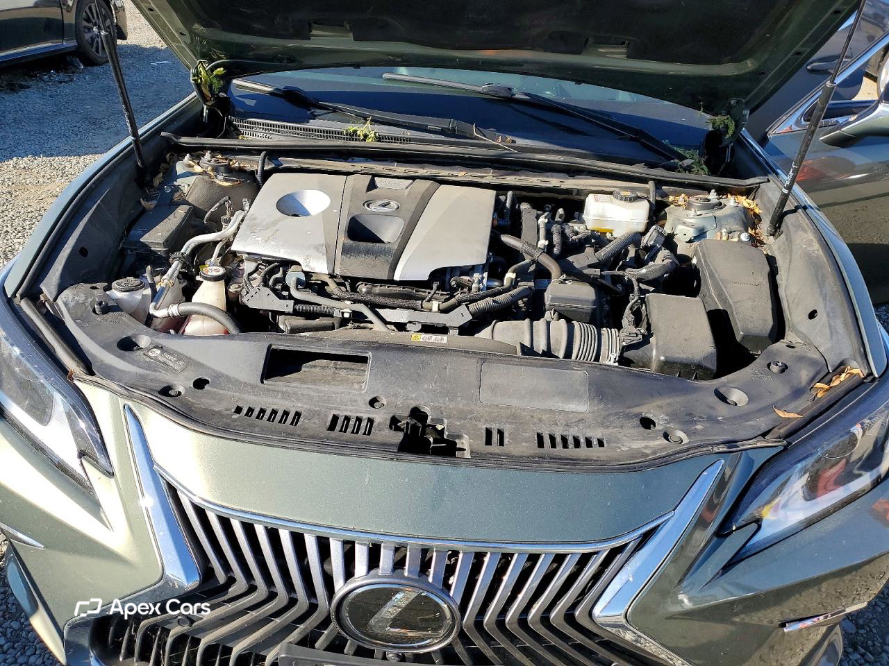 Lexus ES 2019