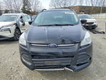 Ford Escape 2016