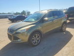 Ford Escape 2013