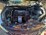 Honda Accord 2016