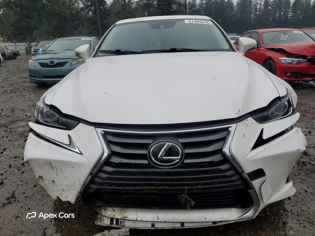 Lexus IS 2017