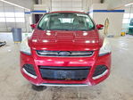 Ford Escape 2014