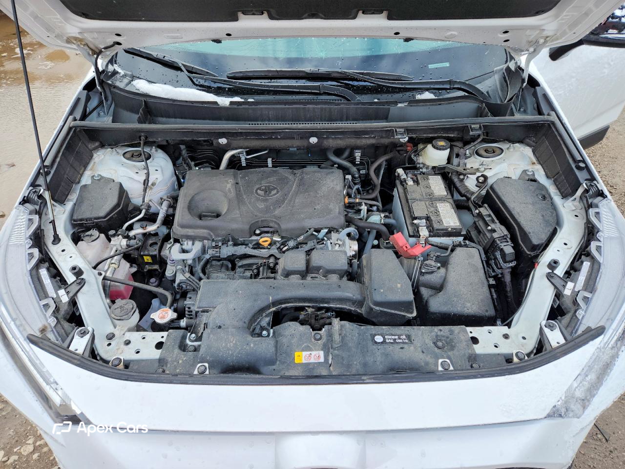 Toyota RAV 4 2024