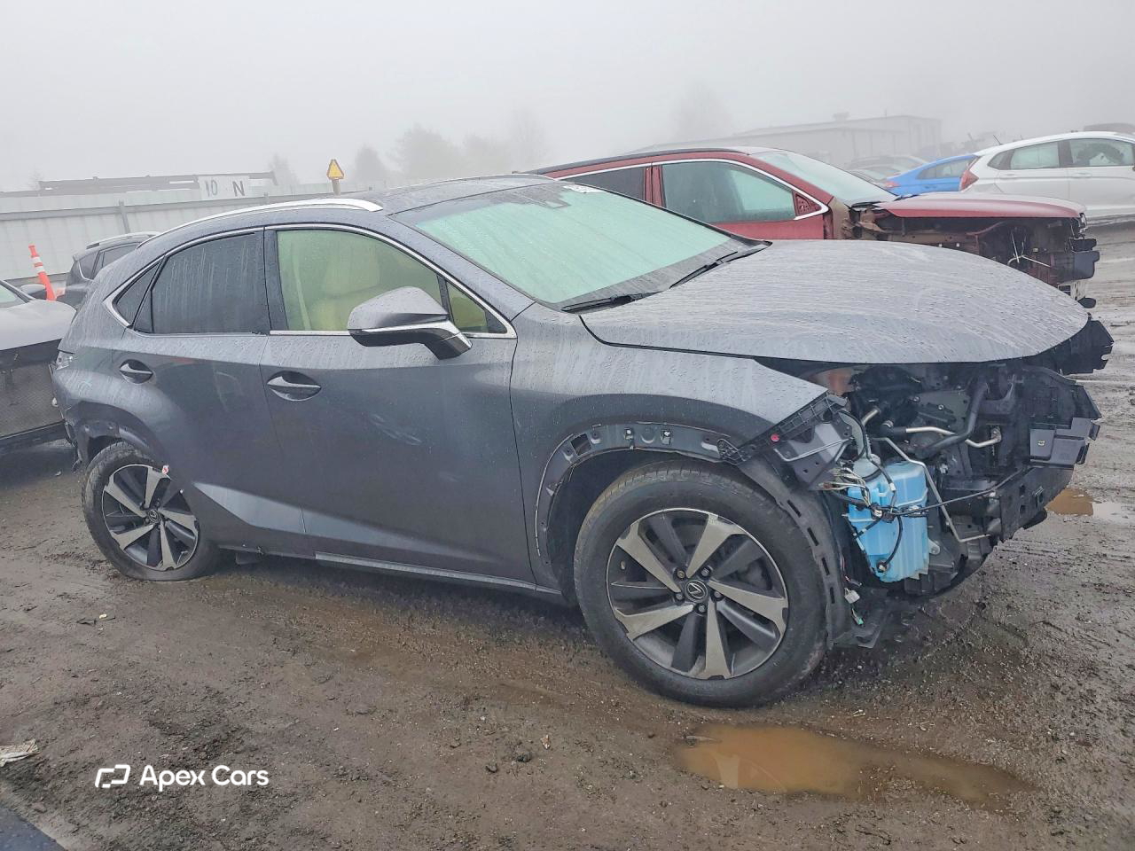 Lexus NX 2019