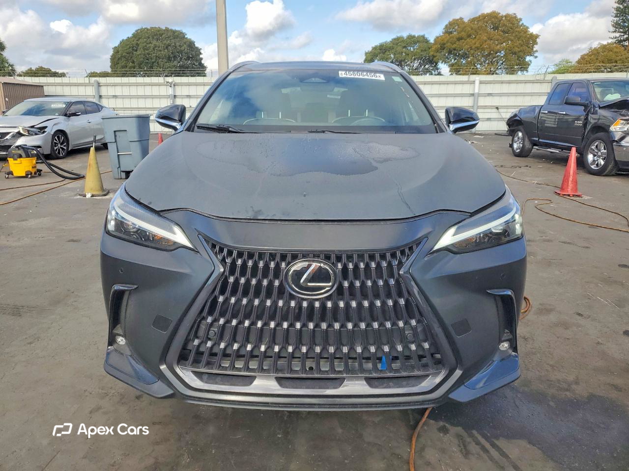 Lexus NX 2023
