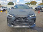 Lexus NX 2023