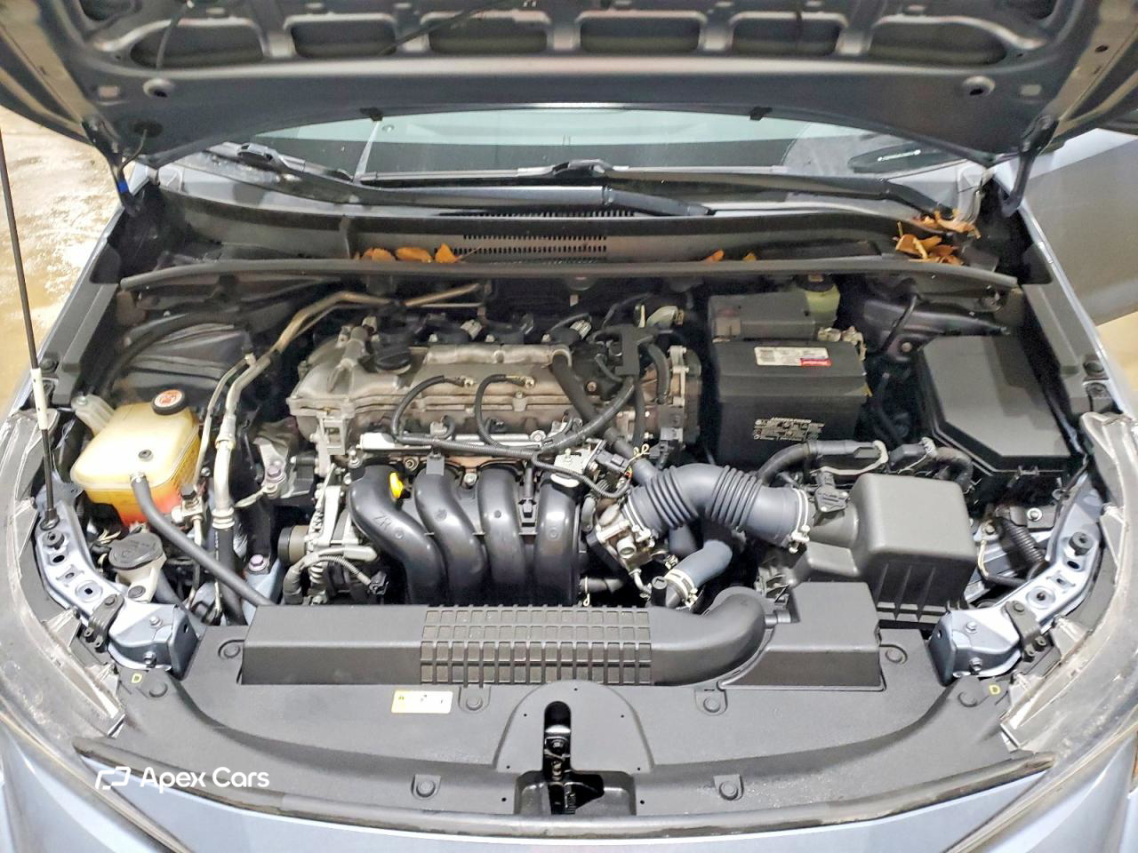 Toyota Corolla 2021