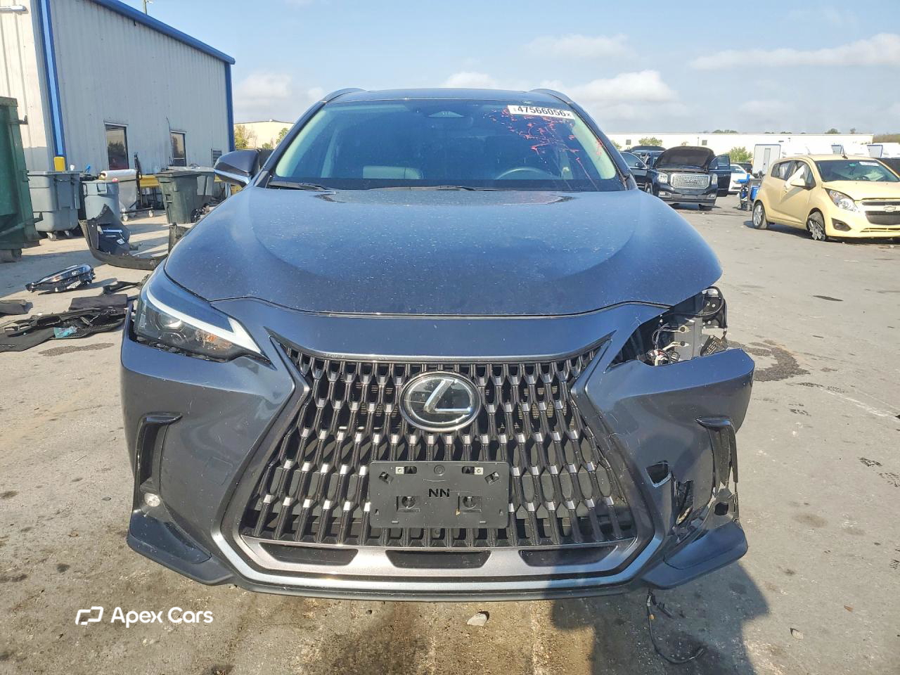 Lexus NX 2024