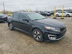 Kia Optima 2013