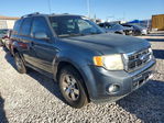 Ford Escape 2011