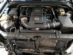 Nissan Navara (Frontier) 2016