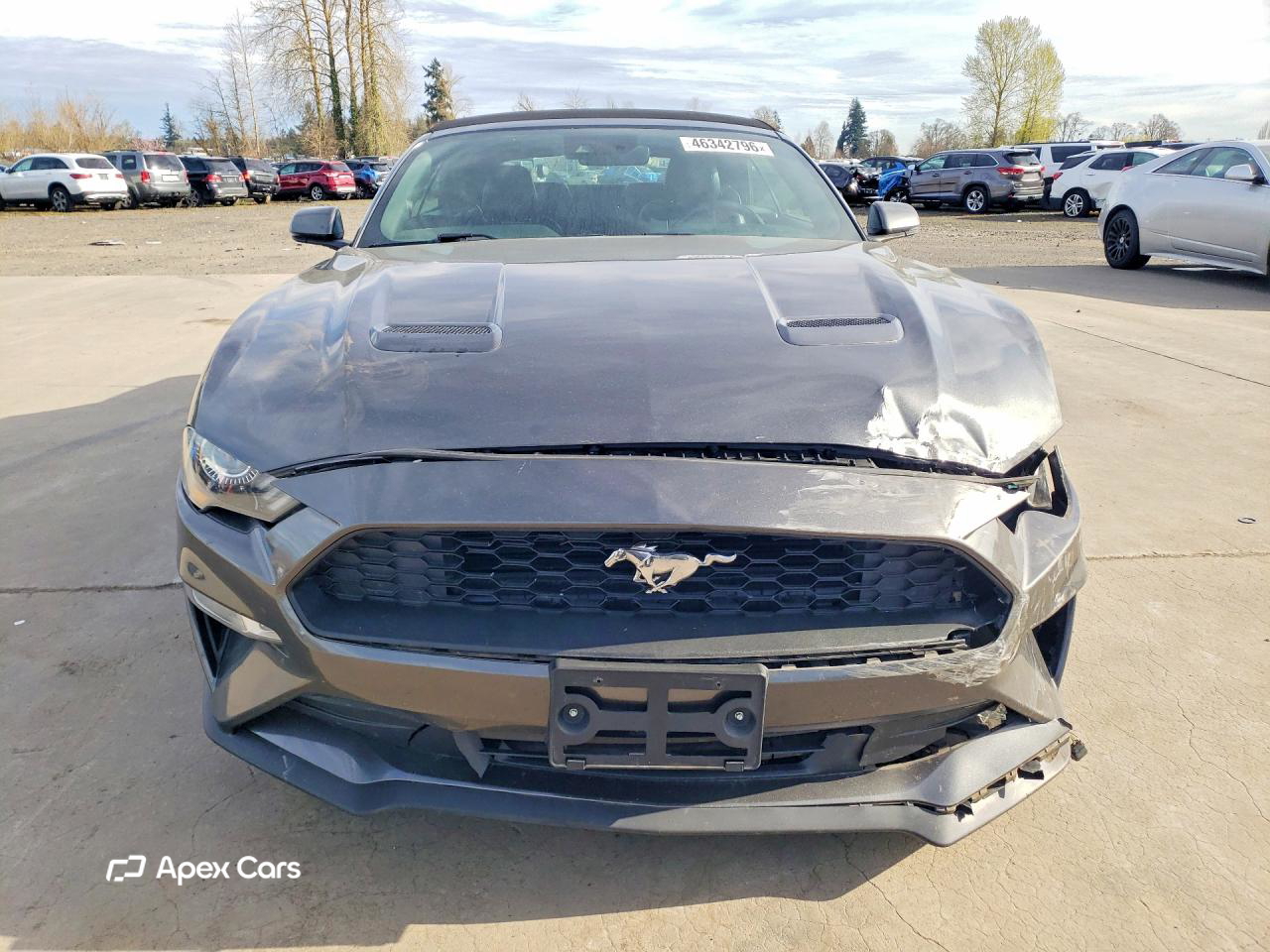 Ford Mustang 2019