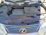 Lexus RX 2013