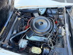 1979