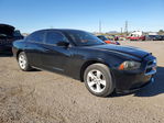 Dodge Charger 2013