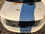 Ford Edge 2008