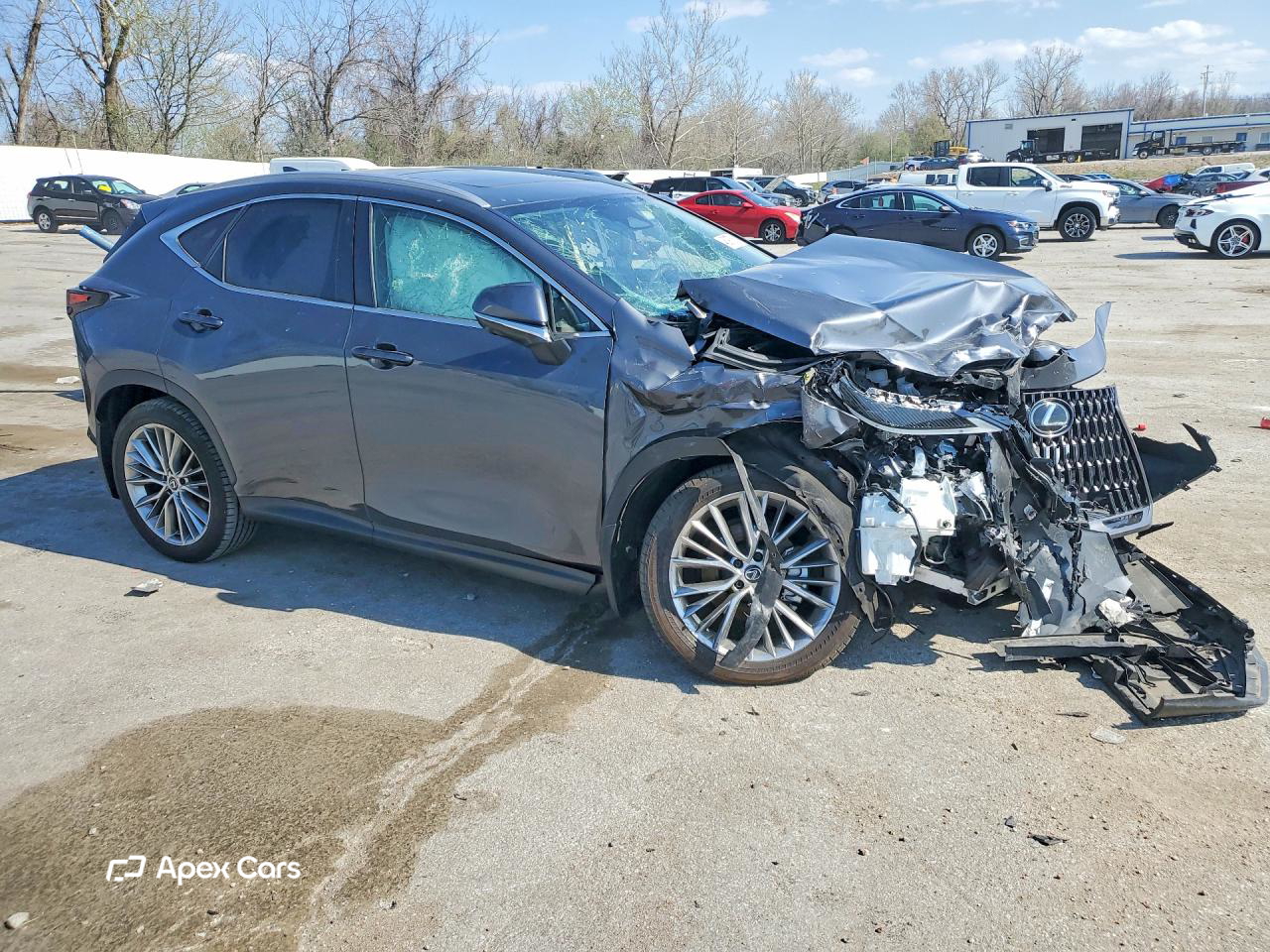 Lexus NX 2025