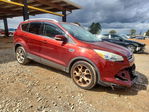 Ford Escape 2014