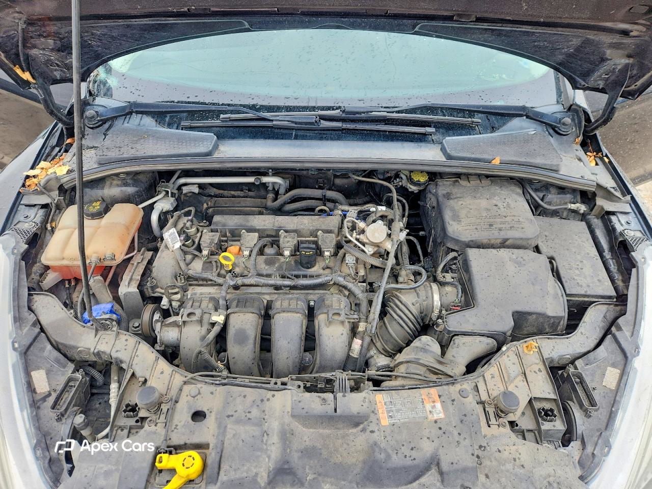 Ford Focus 2016