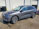Ford Escape 2020