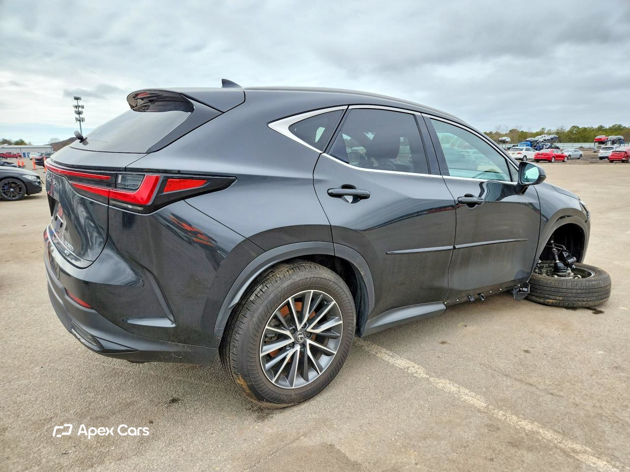 Lexus NX 2024