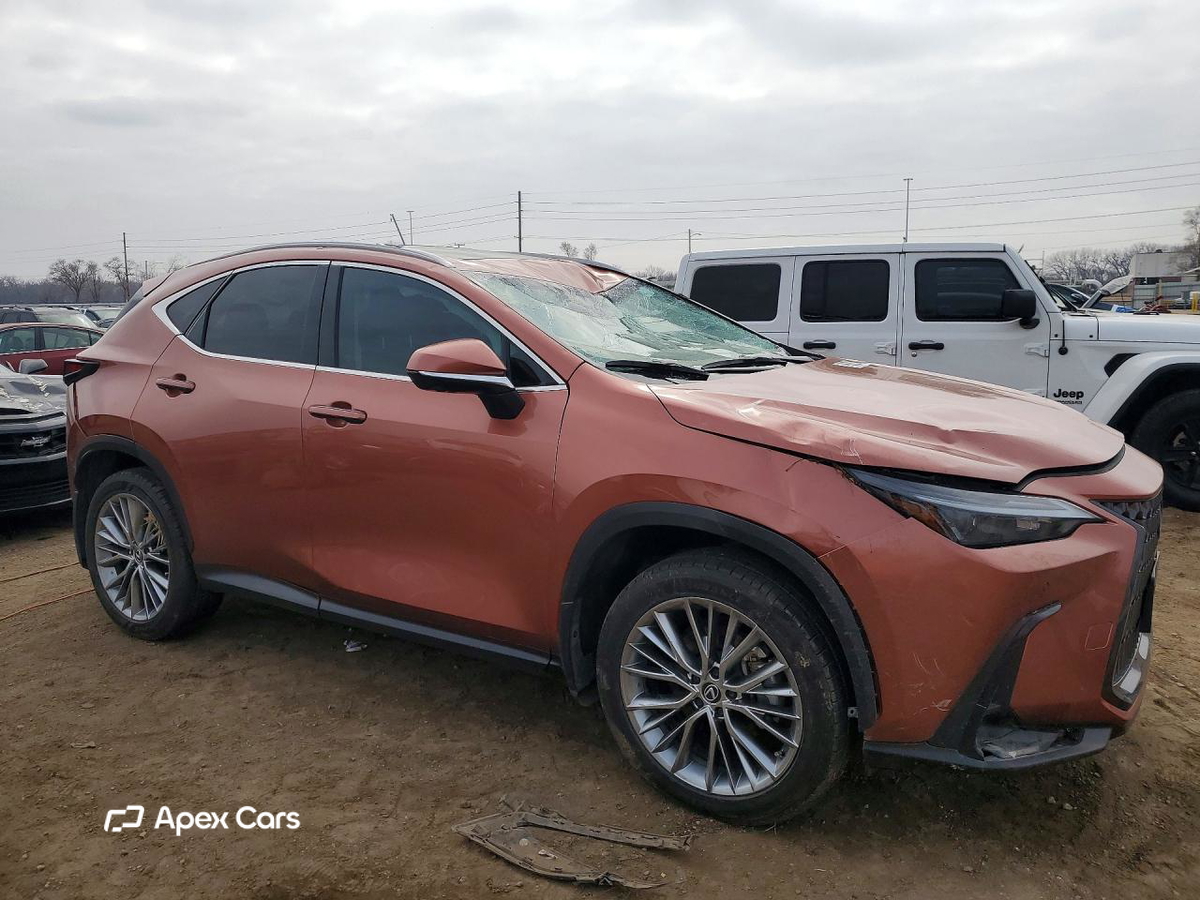 Lexus NX 2025