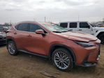 Lexus NX 2025