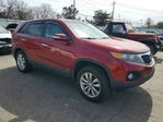 Kia Sorento 2011