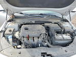 Kia Optima 2016