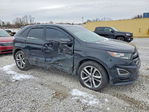 Ford Edge 2016