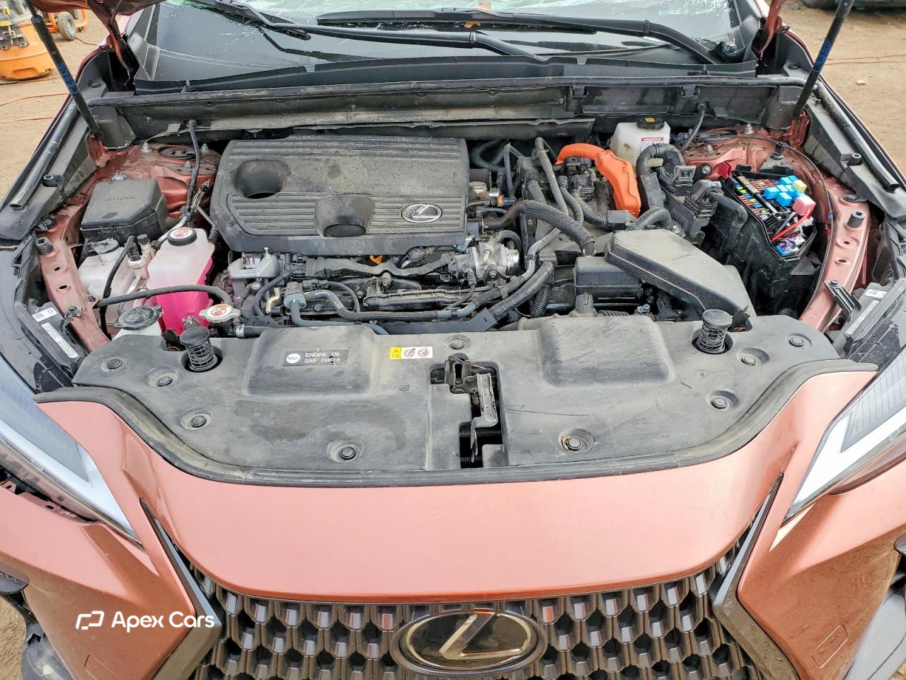 Lexus NX 2025