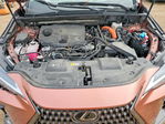 Lexus NX 2025