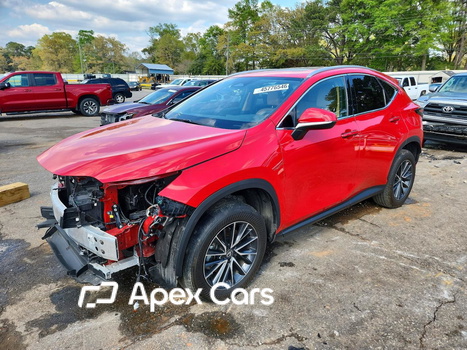 Lexus NX 2024 - Image 1 of 15