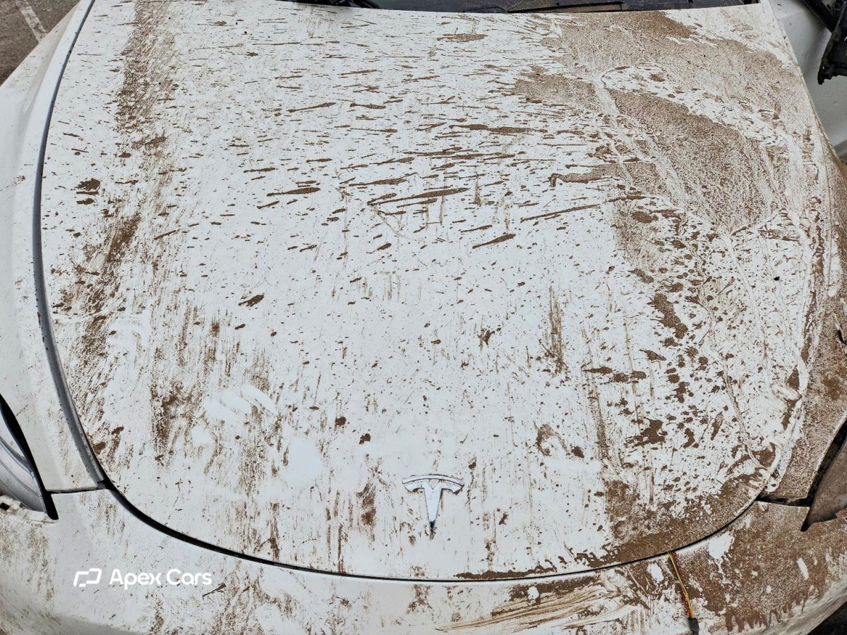 Tesla Model Y 2020