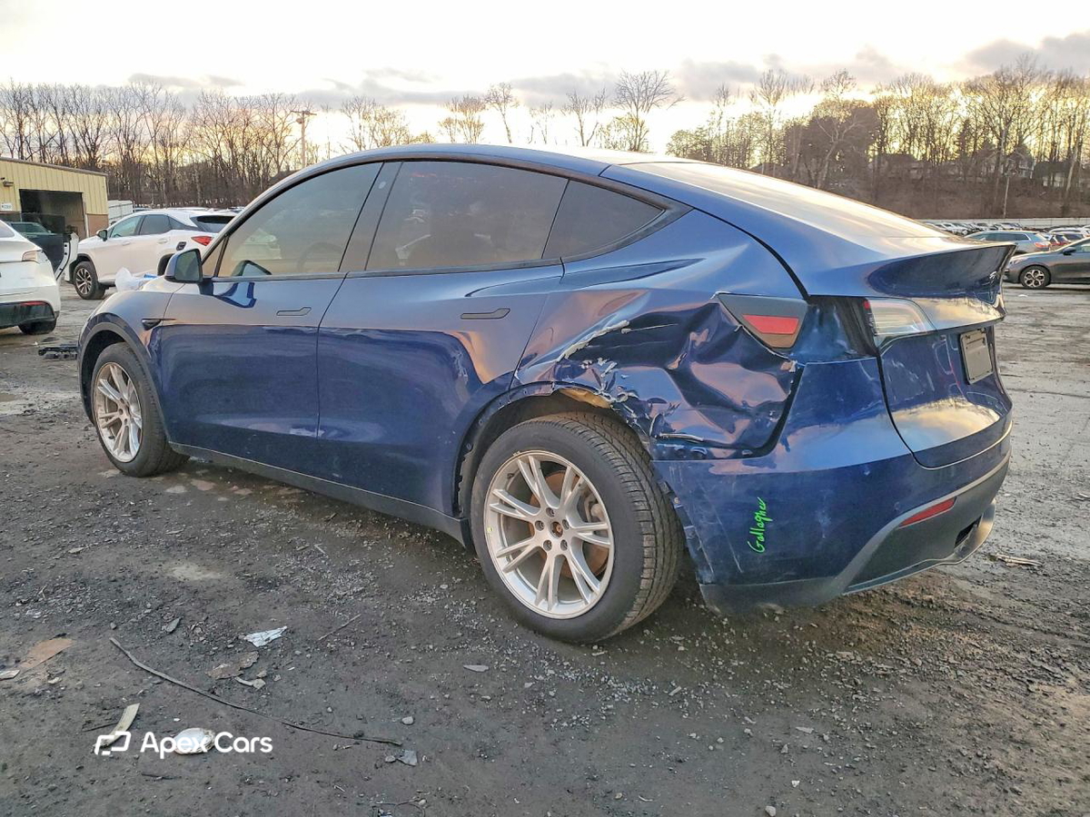 Tesla Model Y 2021