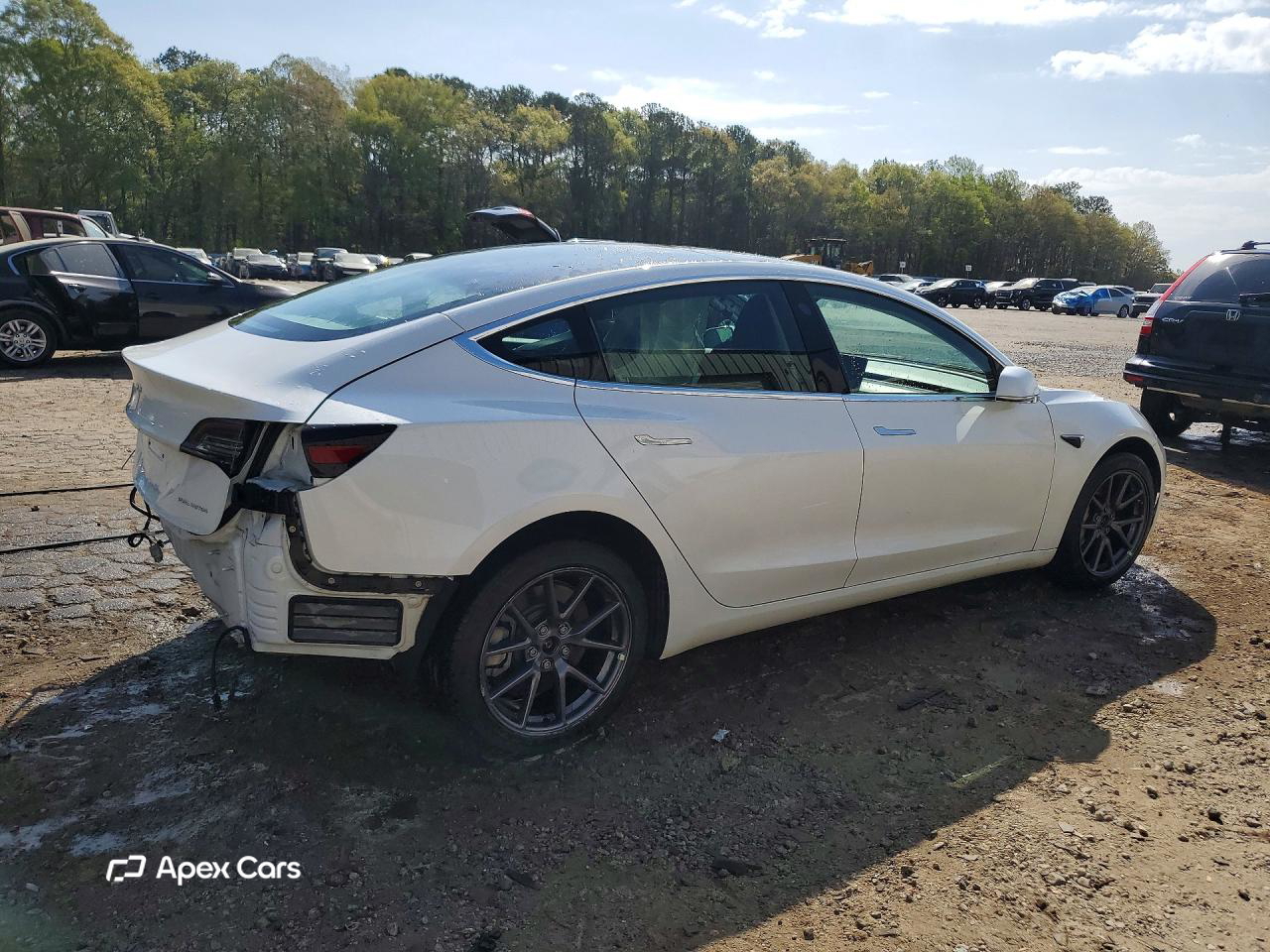 Tesla Model 3 2019