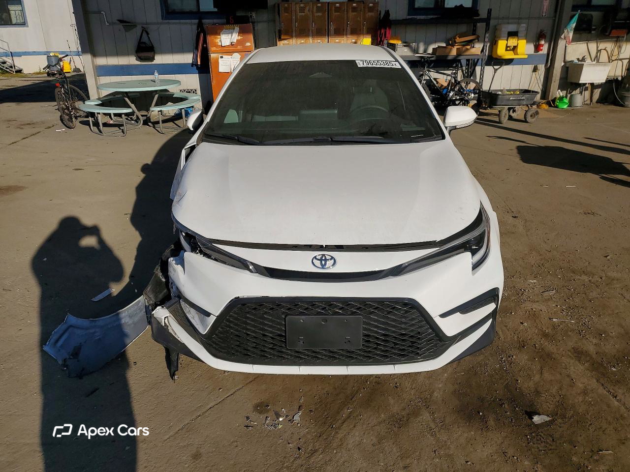 Toyota Corolla 2024