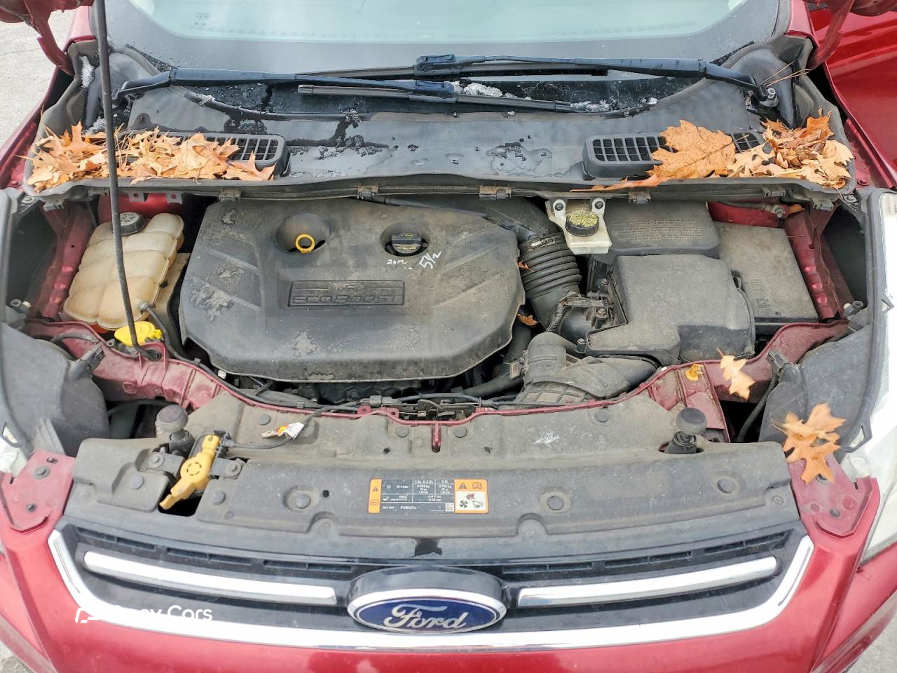 Ford Escape 2013