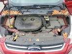 Ford Escape 2013