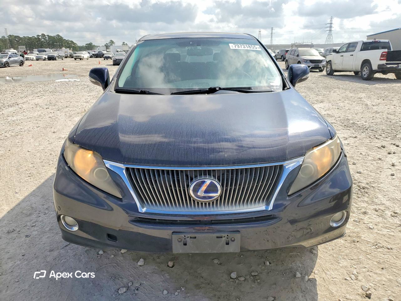 Lexus RX 2010