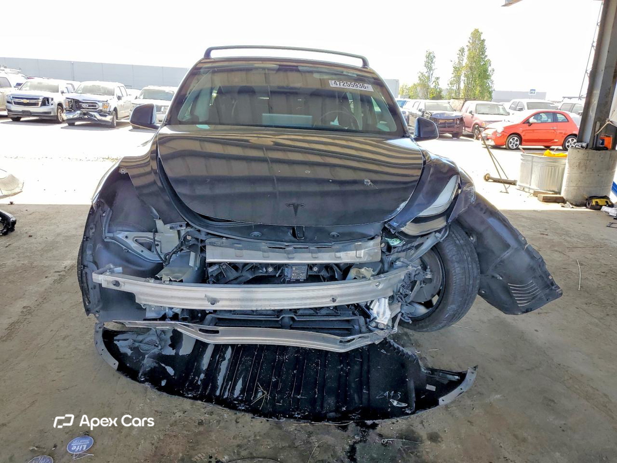 Tesla Model Y 2020
