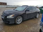 Nissan Maxima 2012